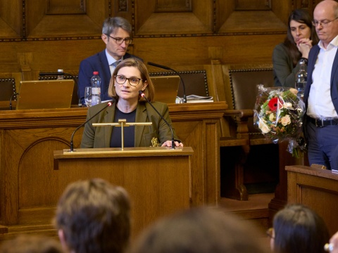 Annahme zur Wahl als Statthalterin